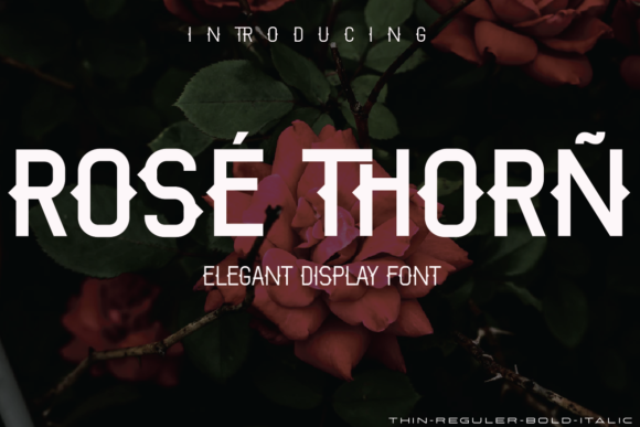 Rose Thorn Font for Creative Projects